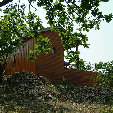 Des Camazets Avec Piscine